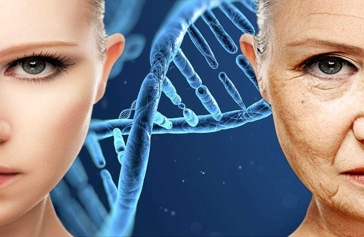 Наследственные заболевания в семье. Старение человека. Старение кожи. Наследственные болезни. Генетика старения.